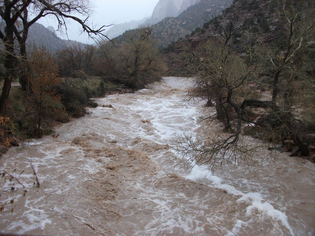 more flood 013