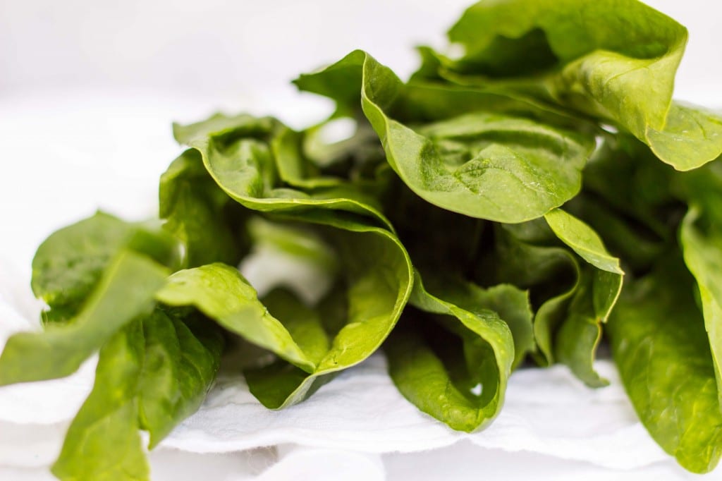 Lime Cheesecake Parfaits with Coconut Whipped Cream-4033