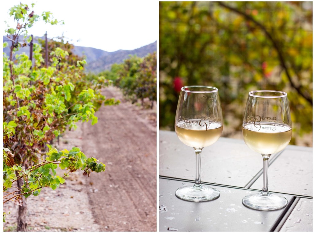 Winery
