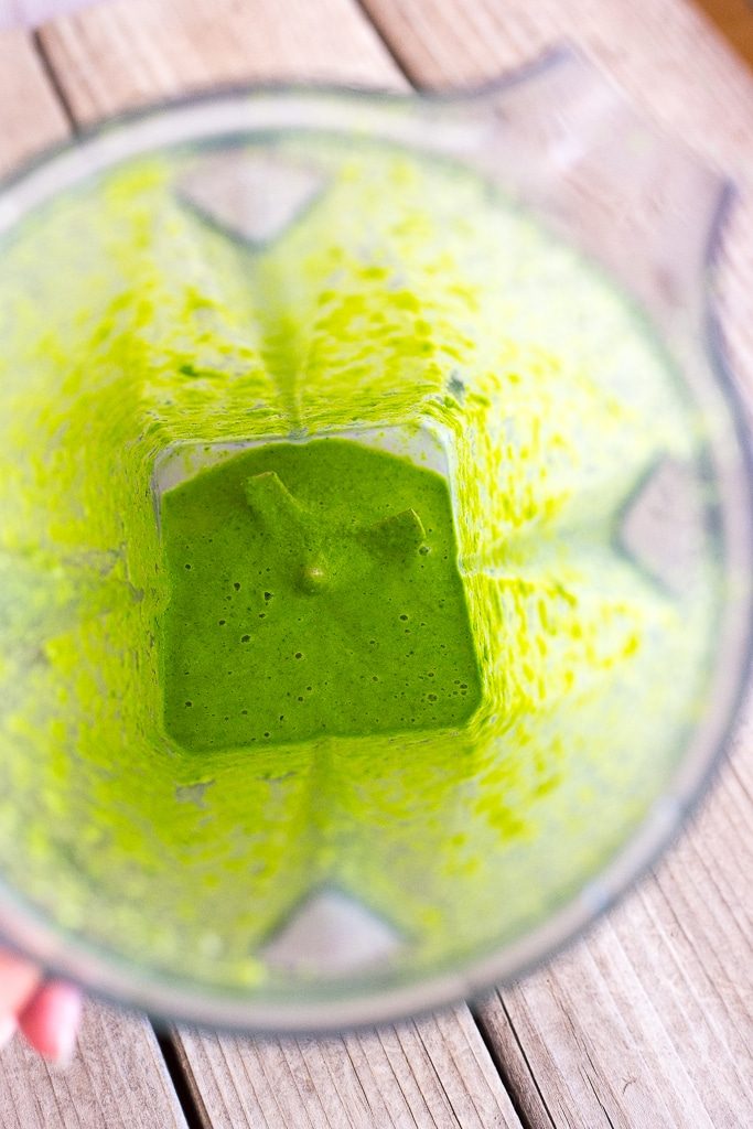 This Chimichurri Guacamole is packed with so much delicious flavor! It's perfect for an appetizer, dip or just to top your favorite food with!