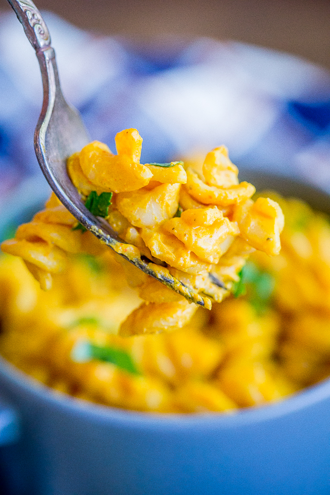 Zesty Pumpkin Mac N' Cheese - This delicious and comforting macaroni and cheese is completely vegan and so easy to make! Great for a quick and easy weeknight dinner!