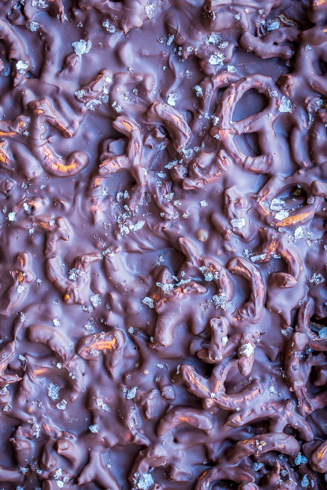 Finished Chocolate Pretzel Bark