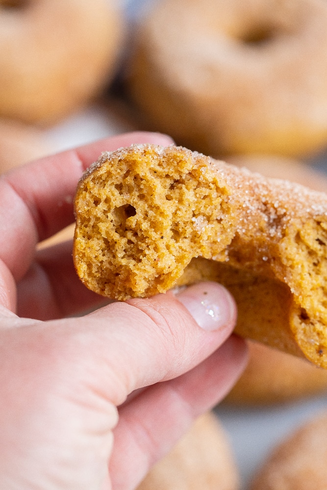 closeup of the inside of a gluten free pumpkin donut