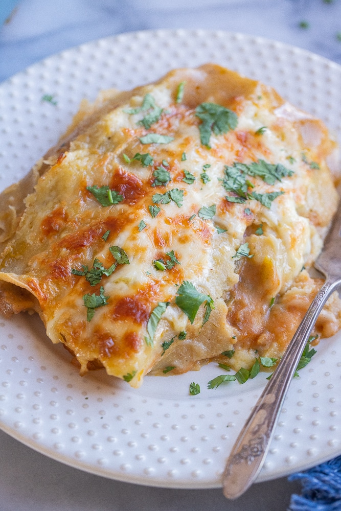 close up of a plate of cheesy green chile and potato enchiladas topped with cilantro