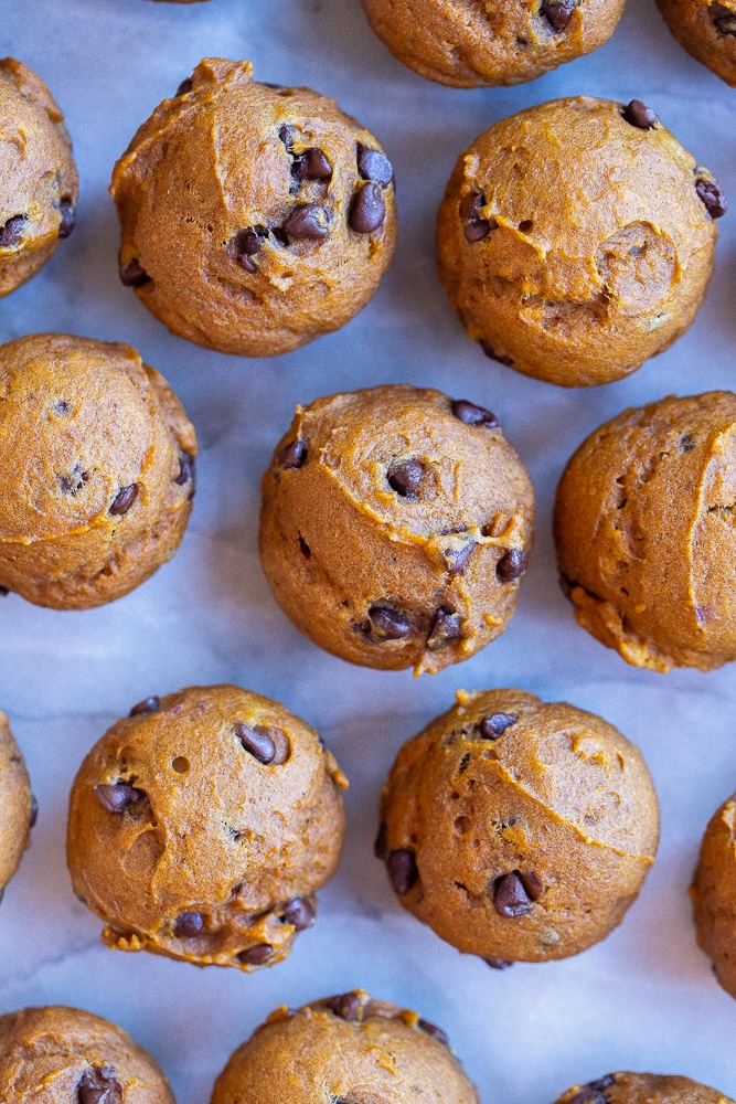 pumpkin chocolate chip mini muffins on a marble cutting board