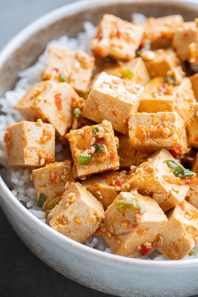 close up of marinated tofu with green onion and rice