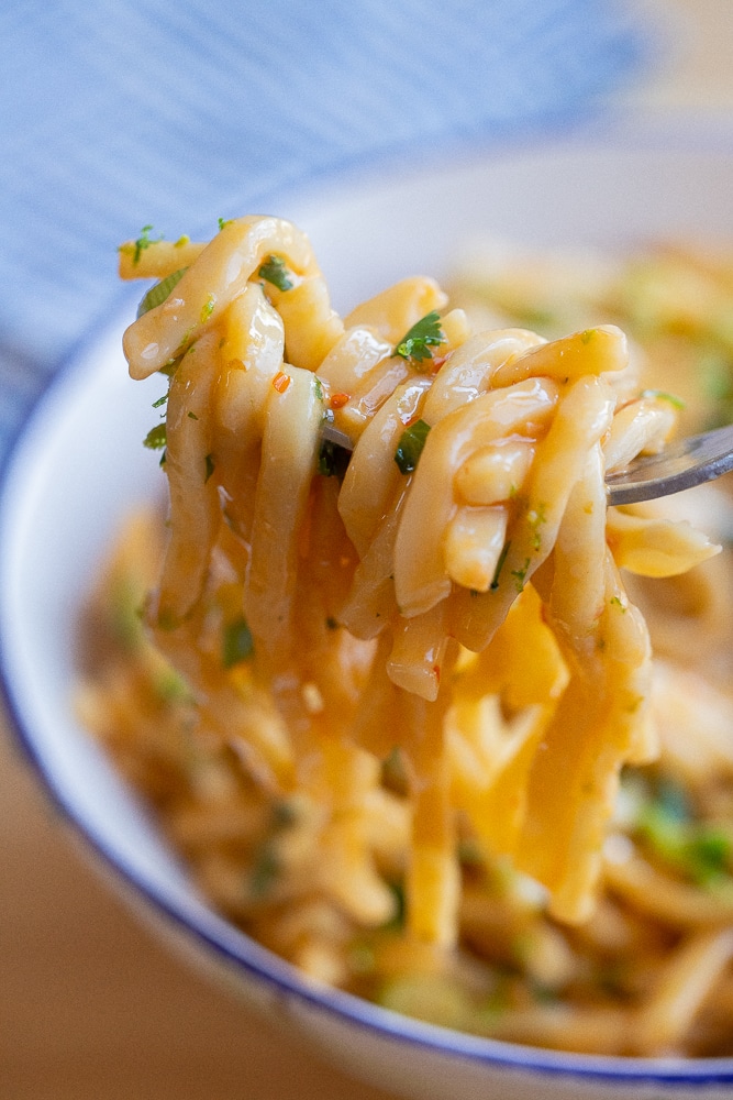 close up of a fork holding a bite of saucy noodles