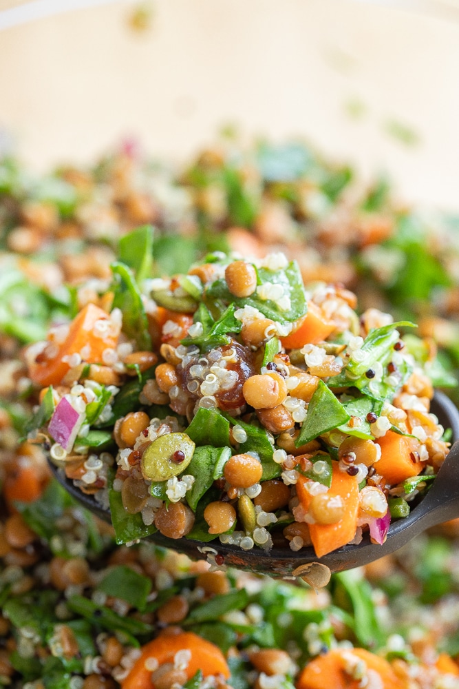 Large spoonful of lentil quinoa spinach salad